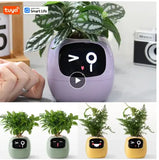 Smart Planter